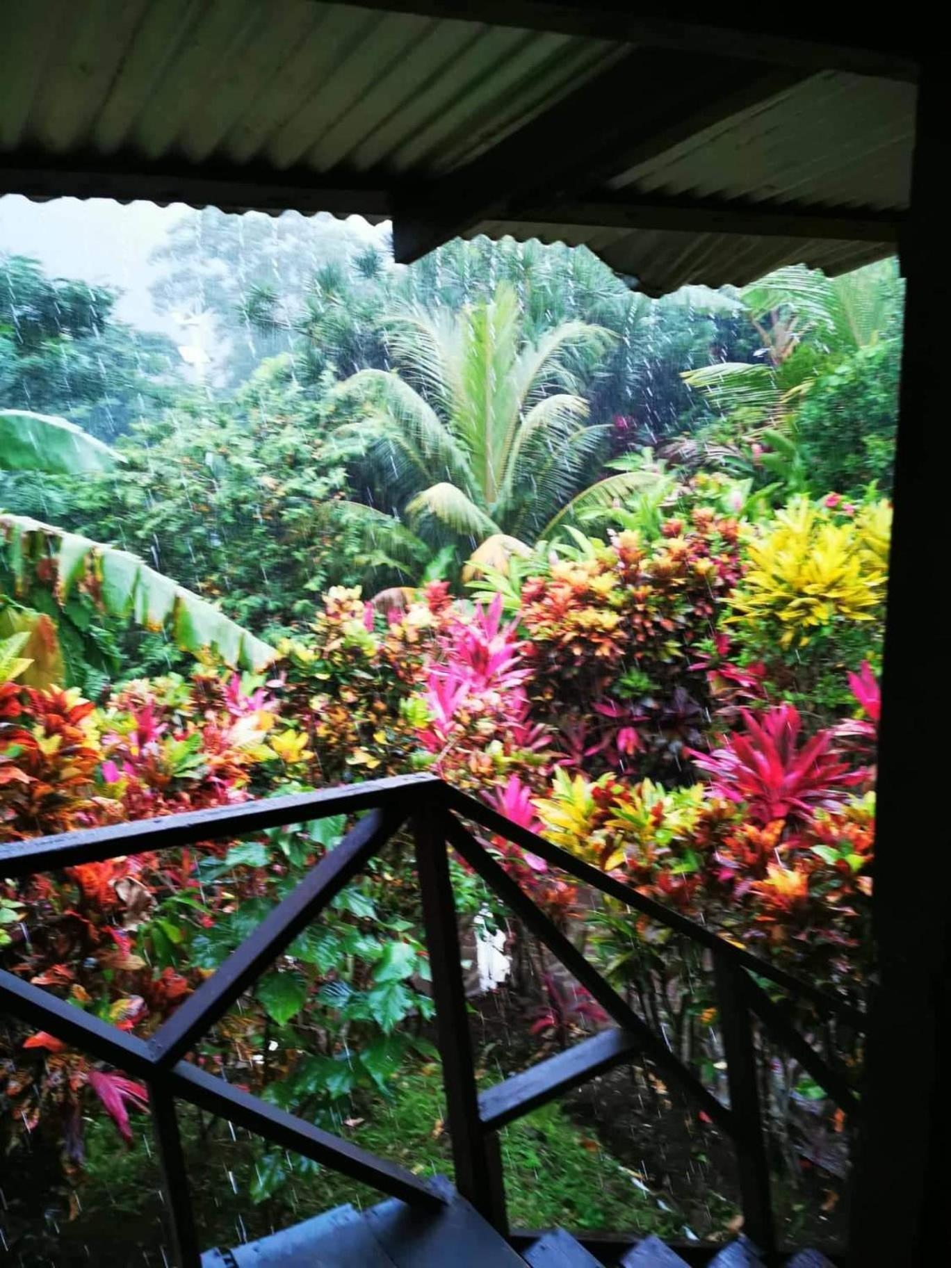 Hibiscus Valley Inn Marigot Exterior foto