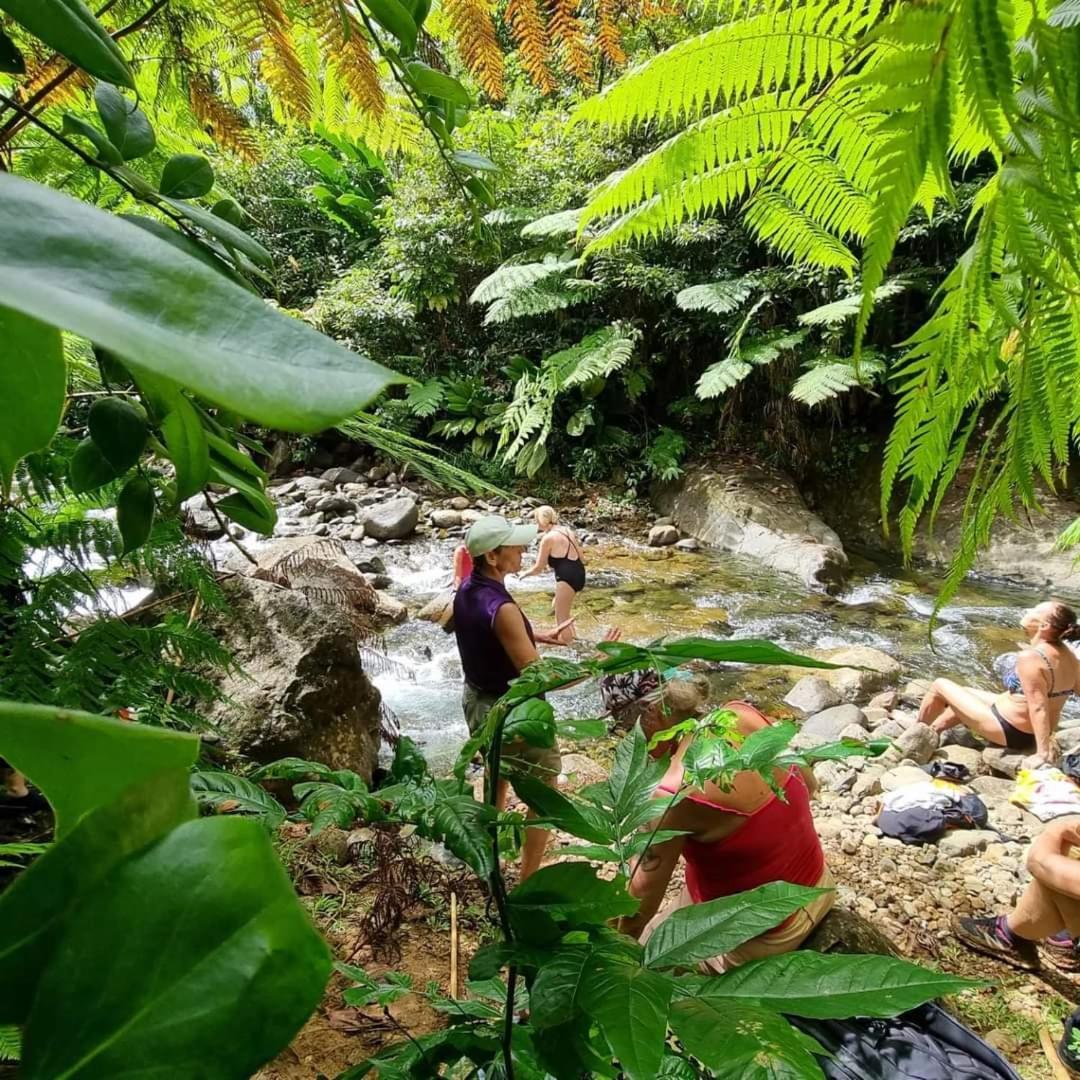 Hibiscus Valley Inn Marigot Exterior foto