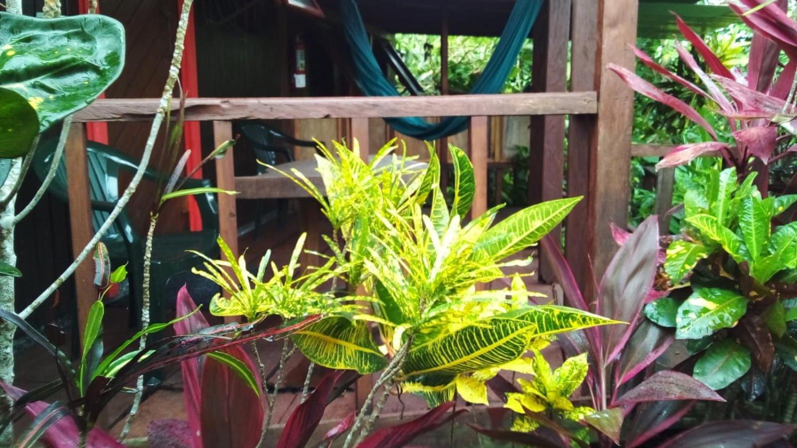 Hibiscus Valley Inn Marigot Exterior foto