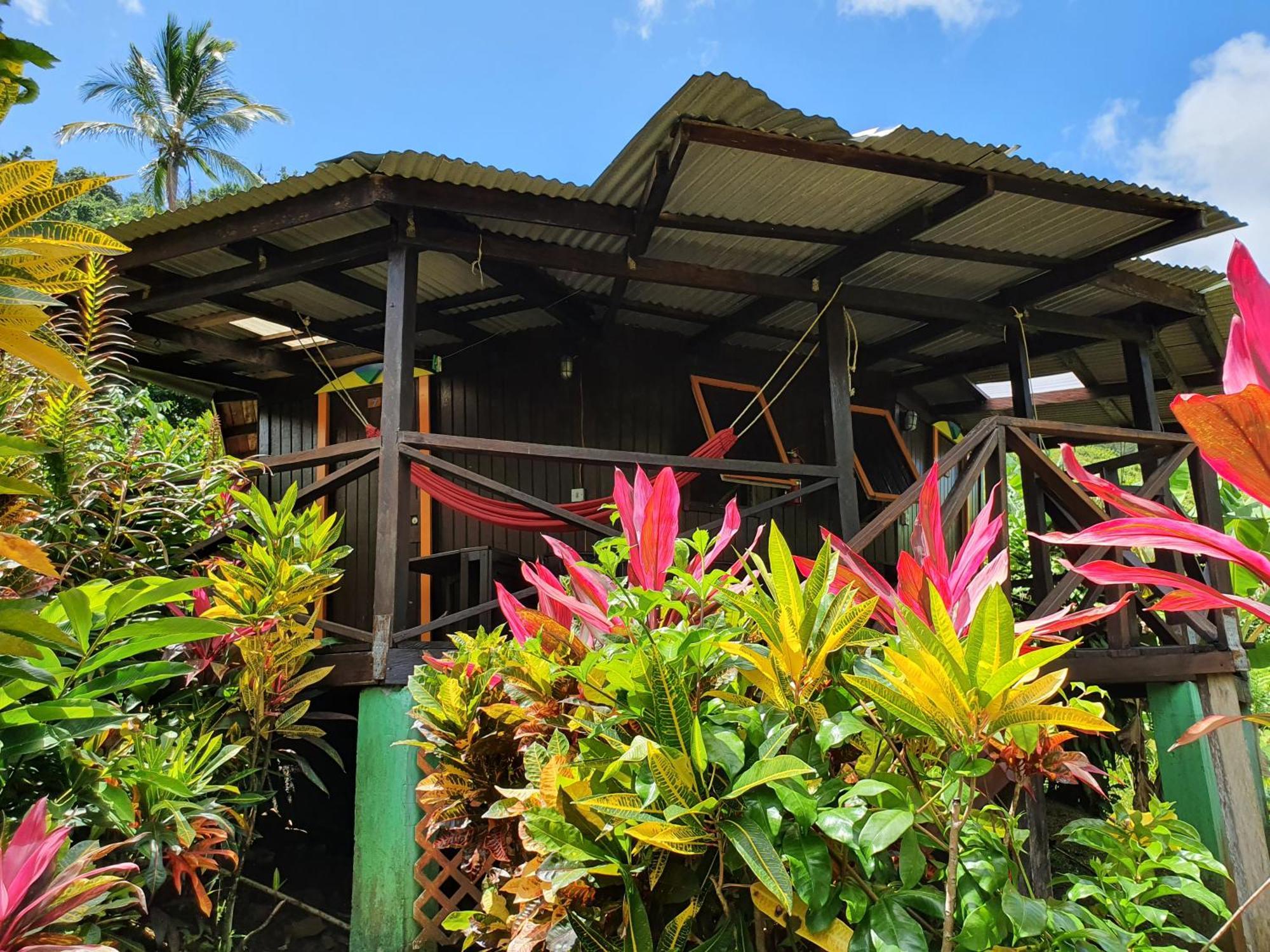 Hibiscus Valley Inn Marigot Exterior foto