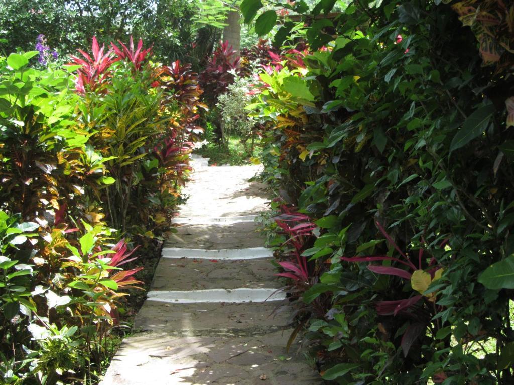 Hibiscus Valley Inn Marigot Quarto foto