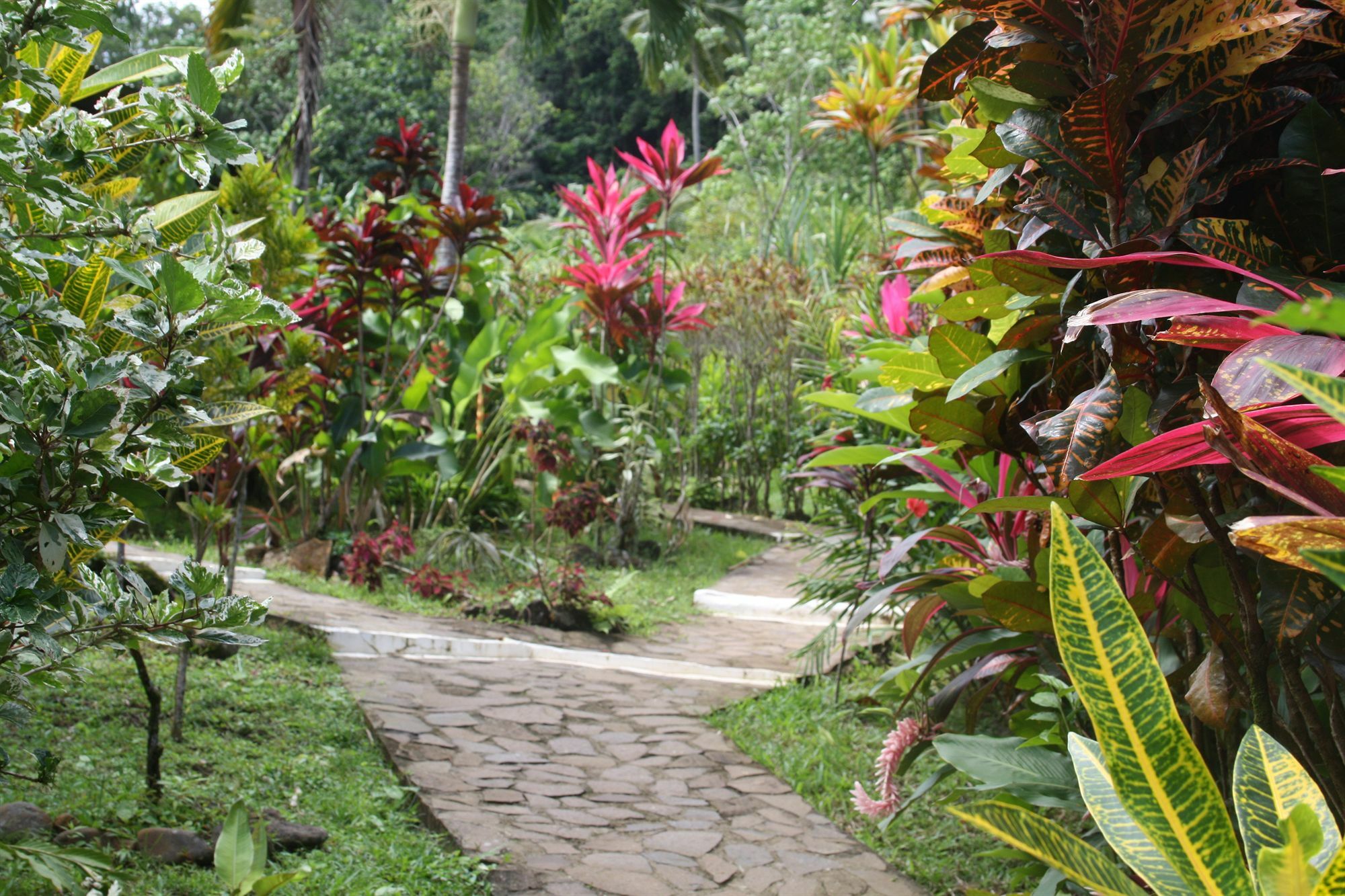 Hibiscus Valley Inn Marigot Exterior foto